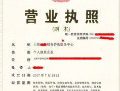 个人独资企业缴纳企业所得税吗？